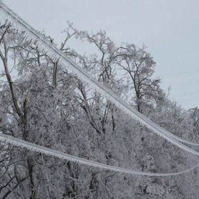 Сумма ущерба от ледяного шторма в Приморье превышает 250 млн рублей