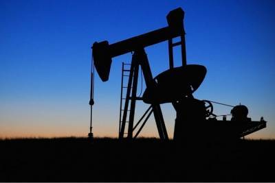 Цены на нефть повысились до мартовских значений