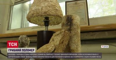 Херсонские ученые создали пластик из грибов: чем уникальный материал - tsn.ua - Харьков