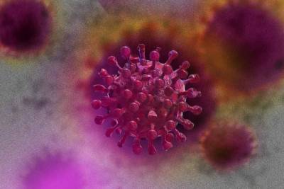 Роспотребнадзор оценил процесс мутации коронавируса в России
