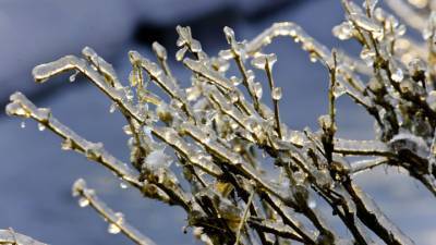 Температурные качели грозят ледяными дождями