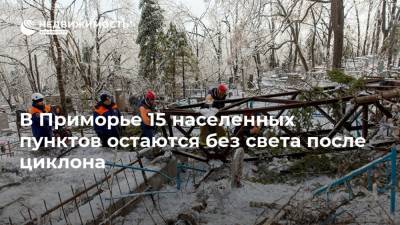 В Приморье 15 населенных пунктов остаются без света после циклона