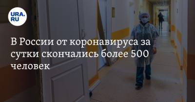 В России от коронавируса за сутки скончались более 500 человек