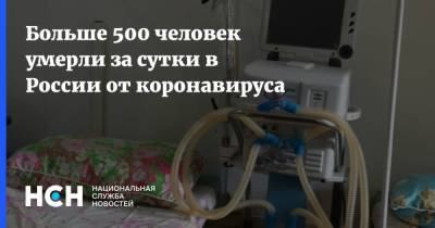 Больше 500 человек умерли за сутки в России от коронавируса