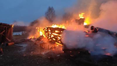На пожаре в Вологодской области погибла женщина с годовалой дочерью