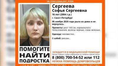 В Петербурге и Калужской области ищут 16-летнюю девушку