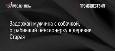 Задержан мужчина с собачкой, ограбивший пенсионерку в деревне Старая