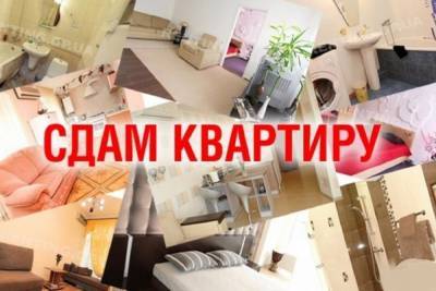 Владельцы костромских квартир по-своему готовятся к Новому году