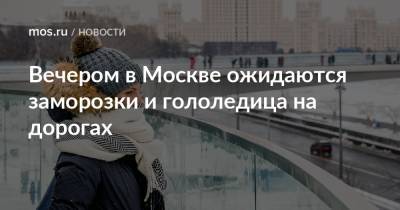 Вечером в Москве ожидаются заморозки и гололедица на дорогах
