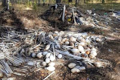 Свалку ртутных отходов обнаружили недалеко от Байкала. Чиновники отказались ее убирать