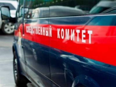 Следственный комитет начал проверку из-за сообщений о попытке похищения детей в Смоленской области
