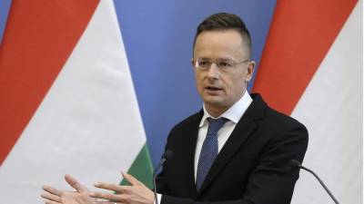Запрет въезда венгерскому политику: посла Украины в Будапеште вызвали "на ковер" в МИД