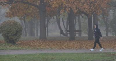 Преимущественно сухо, но пасмурно, местами туман: прогноз погоды в Украине на четверг, 26 ноября