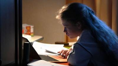 В России создали "образовательный интернет" для школьников