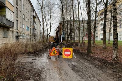 Двор с утками на улице Труда ремонтируют в Пскове