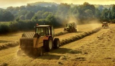 Урожай 2020: Украинские фермеры понесли серьезные убытки, но получили большие надежды