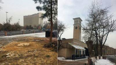 В Ташкенте оправдали новую вырубку деревьев на Сквере