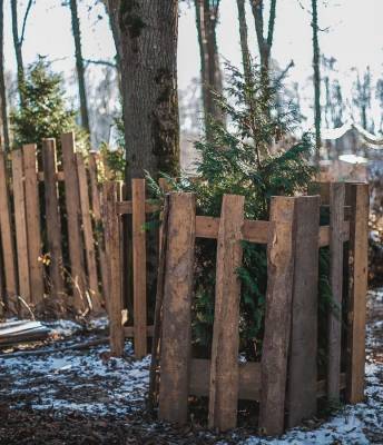 Разрушавшие ограду аварийные деревья спилили в парке «Швейцария»