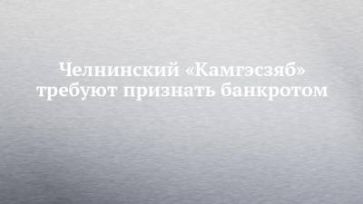 Челнинский «Камгэсзяб» требуют признать банкротом