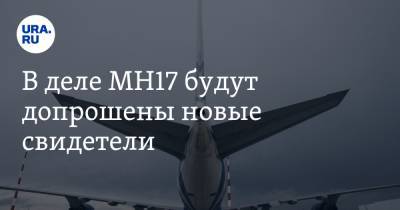 В деле МН17 будут допрошены новые свидетели