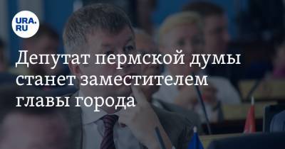 Депутат пермской думы станет заместителем главы города