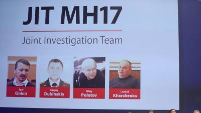 Суд по делу MH17 отклонил запрос о расследовании альтернативных версий