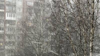 Синоптики рассказали петербуржцам о сложных погодных условиях в четверг