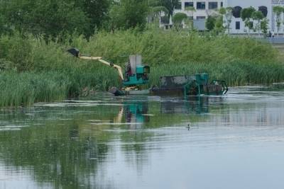 В Ярославской области почистят реку Сить