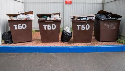 Между обществом и бизнесом: что мешает Петербургу избавиться от мусора