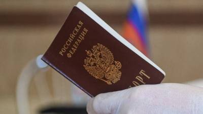 Украина не будет признавать ряд российских паспортов