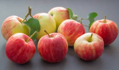 Ученые назвали полезную альтернативу яблокам зимой