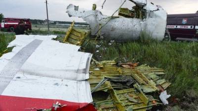 Суд отклонил все запросы на расследование иных версий крушения Boeing рейса MH17