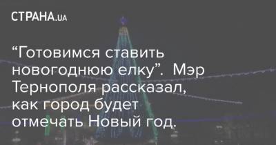 “Готовимся ставить новогоднюю елку”. Мэр Тернополя рассказал, как город будет отмечать Новый год.