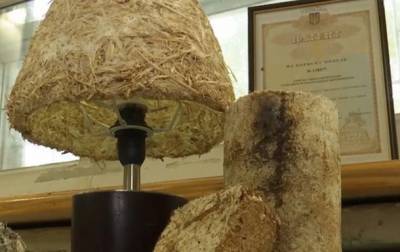 Ученые из Херсона создали "грибной пластик"