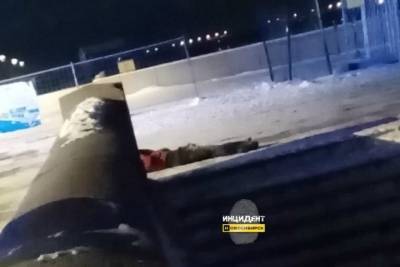 18-летний новосибирец прыгнул с моста и разбился насмерть
