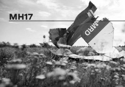 Дело MH17: суд отказался рассматривать альтернативные версии крушения Боинга под Донецком