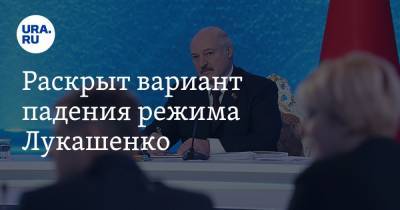 Раскрыт вариант падения режима Лукашенко. Если он не сработает, пострадает Россия