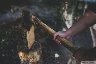 Упавшее во время рубки дерево раздавило мужчину в Калужской области