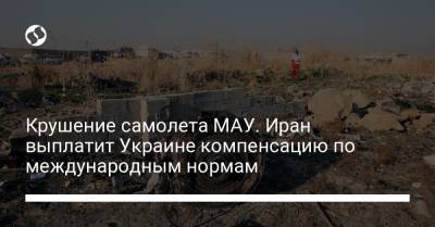 Крушение самолета МАУ. Иран выплатит Украине компенсацию по международным нормам