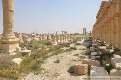 Сирийские власти организовали для школьников экскурсию к руинам Катны
