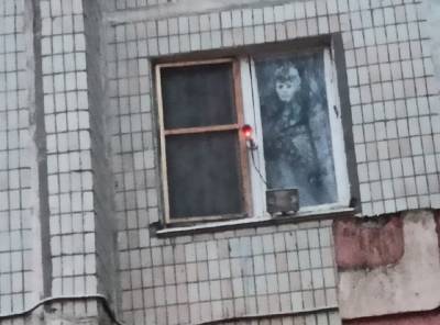 Нечто страшное пугает ростовчан из окна на Вятской