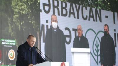 Турция и Россия обсудили вовлечение других стран в мирные усилия в Нагорном Карабахе