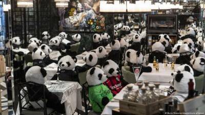 Панды вместо посетителей: в немецком ресторане креативно протестуют против локдауна