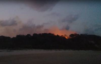 Пламя охватило леса, у пожарных опускаются руки: во всем виноваты туристы, подробности