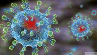 Эксперт ВОЗ описал вероятный сценарий передачи коронавируса человеку