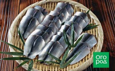 Как замариновать и засолить рыбу: 7 рецептов на все случаи жизни