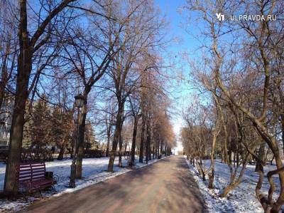 И снова похолодает. Погода в Ульяновской области 26 ноября
