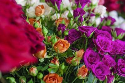 Скидку 25% на розы и хризантемы подарит в честь Дня матери Oasis в Чите на Бутина, 18