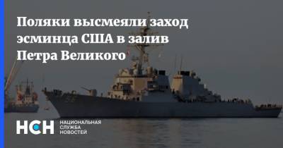 Поляки высмеяли заход эсминца США в залив Петра Великого