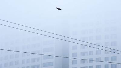 Москвичей предупредили о тумане и гололедице утром в четверг
